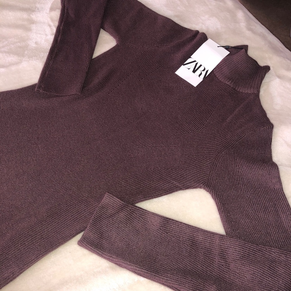Zara Turtle Neck Dress